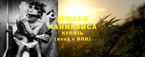 круглые Вяземский