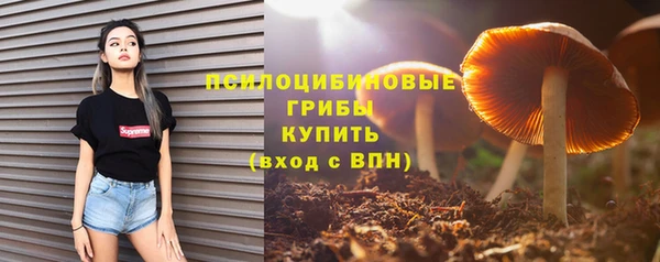 ешки Волосово